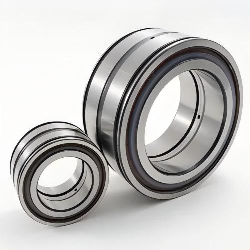 SL185006 Double Row Full-Complement Cylindrical Roller Bearing SKF/FAG Reference