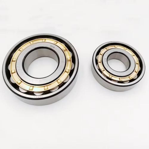 N1004M Single Row Cylindrical Roller Bearings SKF/FAG/NTN Interchange